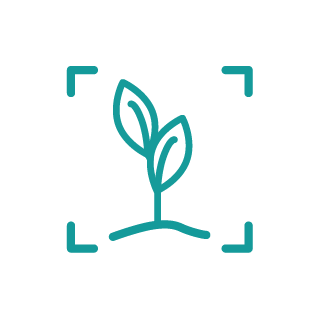 Icons NC Grow