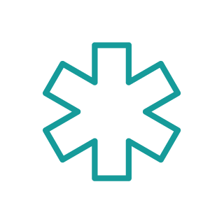 Icons NC Healthcare