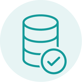 Icons System Validation